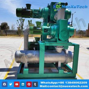 Roots Screw pump system