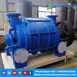 Revolutionizing Gelatin Production with Liquid Ring Vacuum Pumps