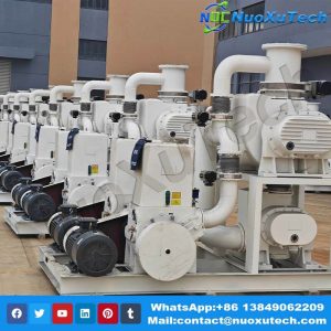 Roots Piston Vacuum Pump System